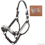 NEW! Billy Royal® Riverside Rebel Show Halter - Country Scene Saddlery and Pet Supplies