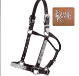 New! Billy Royal® Stella Fitted Show (pre orders) Halter - Country Scene Saddlery and Pet Supplies