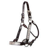 Billy Royal® Sydney Silver Show Halter - Country Scene Saddlery and Pet Supplies