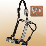 NEW! Billy Royal® Taos Diamond Show Halter - Country Scene Saddlery and Pet Supplies