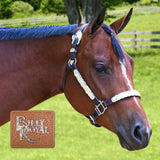 New! Billy Royal® Total Elegance Classic Show Halter - Country Scene Saddlery and Pet Supplies