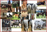 Black False Tails - Country Scene Saddlery and Pet Supplies