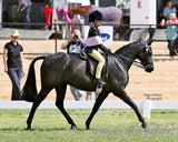 Black False Tails - Country Scene Saddlery and Pet Supplies