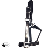 Black Leather Halter - Patent Piping with Engraved Horse Nameplate - Country Scene Saddlery and Pet Supplies