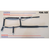 New! Black Leather Halter - Patent Piping with Engraved Horse Nameplate - Hamag™ Leather Saddle Cloth Number Holders