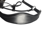 Black Leather Halter - Patent Piping with Engraved Horse Nameplate - Country Scene Saddlery and Pet Supplies