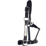 Black Leather Halter - Patent Piping with Engraved Horse Nameplate - Country Scene Saddlery and Pet Supplies