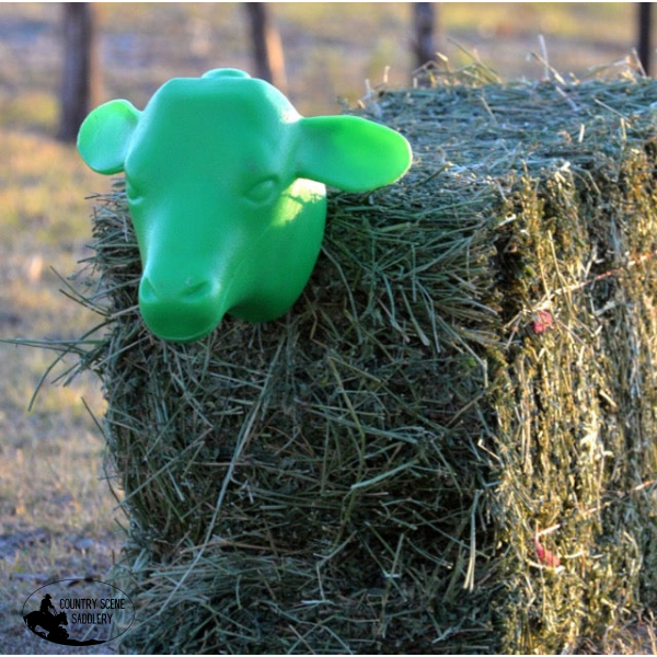 Calf Head Breastplate