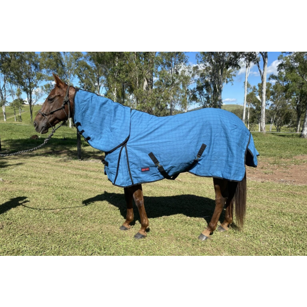 New! Canvas Combo (unlined) 5’6 Winter Combos