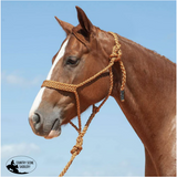 NEW! Cashel Flat Braid Rope Halter & Lead 9′ Copper halters
