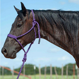 New! Cashel Flat Braid Rope Halter & Lead 9′ Purple Halters