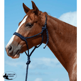 NEW! Cashel Flat Braid Rope Halter & Lead 9′ - Country Scene Saddlery and Pet Supplies