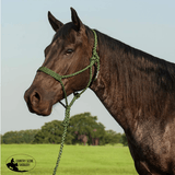 NEW! Cashel Flat Braid Rope Halter & Lead 9′ - Country Scene Saddlery and Pet Supplies
