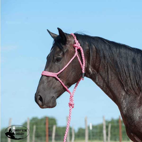 Cashel Flat Braid Rope Halter & Lead 9 Halters