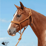 NEW! Cashel Flat Braid Rope Halter & Lead 9′ - Country Scene Saddlery and Pet Supplies