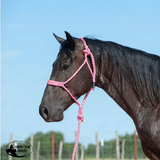 NEW! Cashel Flat Braid Rope Halter & Lead 9′ - Country Scene Saddlery and Pet Supplies