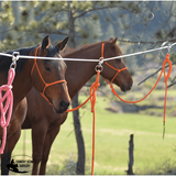 NEW! Cashel High Line Kit - Country Scene Saddlery and Pet Supplies