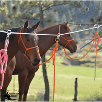 Cashel High Line Kit Halters