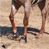 New! Cashel No Turn Bell Boots- Black - Country Scene Saddlery and Pet Supplies