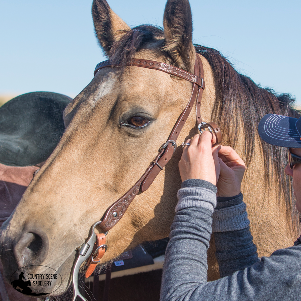 New! Cashel Trail Chocolate Browband Headstall With Diamond Tooling Western Reins