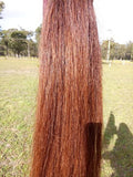 Chestnut False Tails - Country Scene Saddlery and Pet Supplies