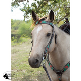 NEW! Circle Y Cactus Flower Tackset - Country Scene Saddlery and Pet Supplies