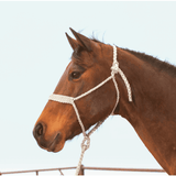 NEW! Classic Equine Braided Rope Halter with Lead - Country Scene Saddlery and Pet Supplies