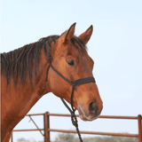 NEW! Classic Equine Braided Rope Halter with Lead - Country Scene Saddlery and Pet Supplies