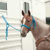 NEW! Classic Equine Braided Rope Halter with Lead - Country Scene Saddlery and Pet Supplies