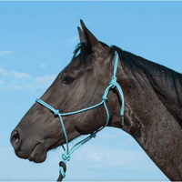 Classic Equine Premium Rope Halter Stable