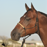 New! Classic Equine Rope Halter with Braided Rawhide Nose & Lead - Country Scene Saddlery and Pet Supplies