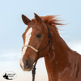 New! Classic Equine Rope Halter with Braided Rawhide Nose & Lead - Country Scene Saddlery and Pet Supplies