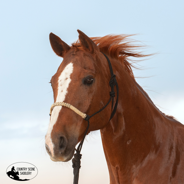 New! Classic Equine Rope Halter with Braided Rawhide Nose & Lead