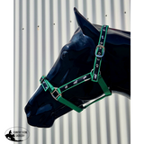 New! Coloured Ribbon Halter - Country Scene Saddlery and Pet Supplies