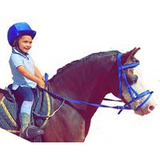 New! Contact Reins Braided Posted.* Contact Reins