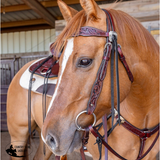 New! Cowtown Kingsley Browband - Full/Cob - Tack Sets