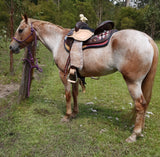 CSSB10- Custom Barrel Saddles (Copy) - Country Scene Saddlery and Pet Supplies