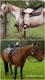 CSSB10- Custom Barrel Saddles (Copy) - Country Scene Saddlery and Pet Supplies