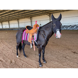 New! Cssb15 - Sunflower Tooled Barrel Saddle Short Skirt Western Saddles