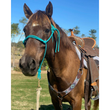 New! CSSLight01- Custom Light Weight Barrel Saddles - Country Scene Saddlery and Pet Supplies