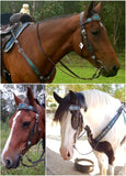 CSS Blue Diamond Inlay Tackset- Chocolate Leather - Country Scene Saddlery and Pet Supplies