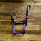 New! Custom PVC Halter with Engraved Horse Nameplate - Country Scene Saddlery and Pet Supplies