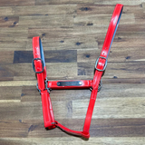 New! Custom PVC Halter with Engraved Horse Nameplate - Country Scene Saddlery and Pet Supplies