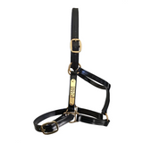 New! Custom PVC Halter with Engraved Horse Nameplate - Country Scene Saddlery and Pet Supplies
