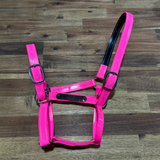 New! Custom PVC Halter with Engraved Horse Nameplate - Country Scene Saddlery and Pet Supplies