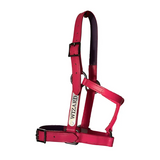 New! Custom PVC Halter with Engraved Horse Nameplate - Country Scene Saddlery and Pet Supplies