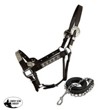 New! Dark Oil Average Horse size leather double stitched silver bar show halter - Country Scene Saddlery and Pet Supplies
