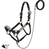 New! Dark Oil Average Horse size leather double stitched silver bar show halter - Show Halters
