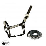 New! Dark Oil Average Horse size leather show halter - Country Scene Saddlery and Pet Supplies