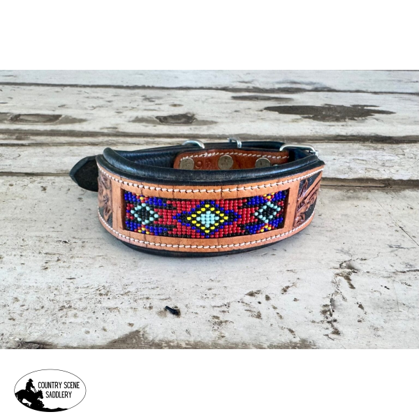 New! Dog Collar Taily Tag Medium 51cm